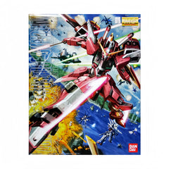 Bandai Gundam Infinite Justice Gundam MG 1/100 Scale Model Kit